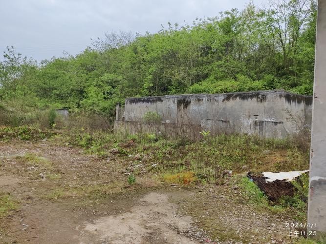重庆市梁平区聚奎镇高碑村地块